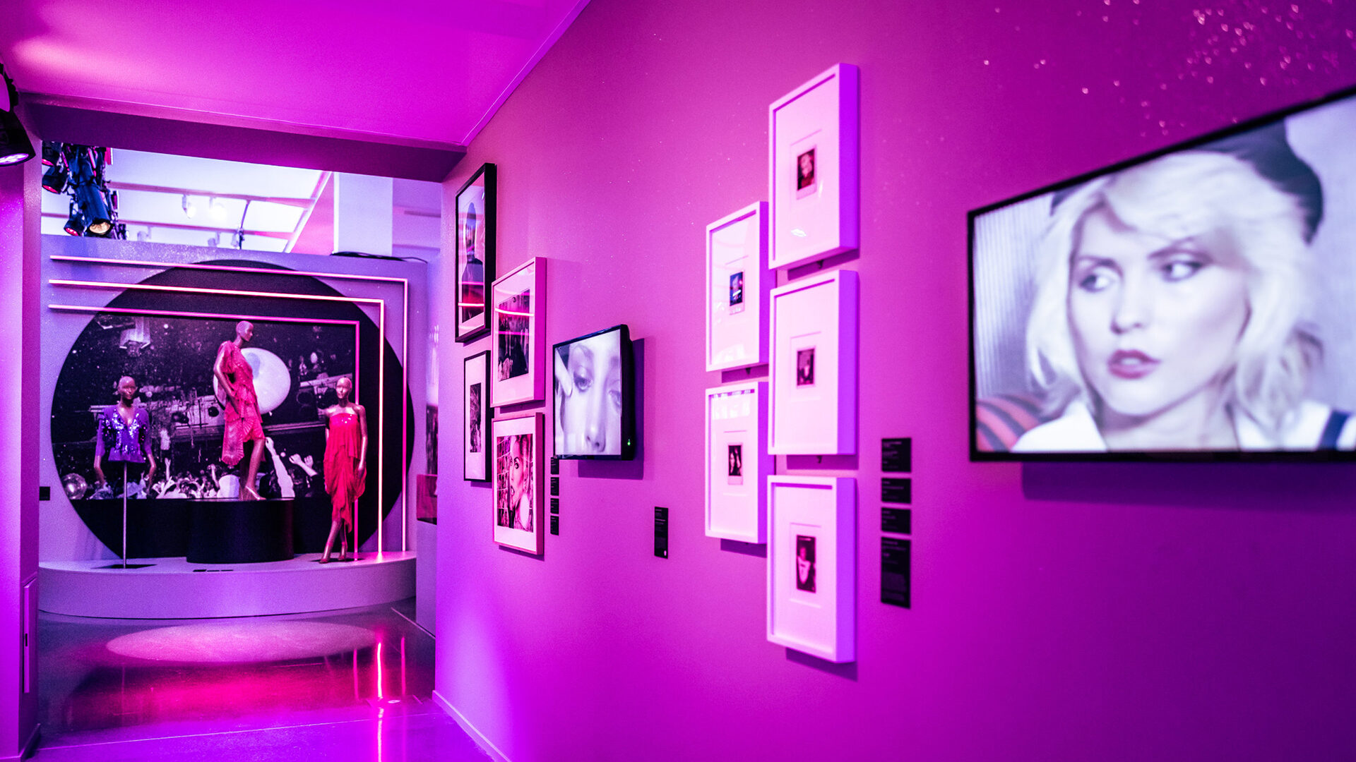 Magic Night – Studio 54 - SIMPLE